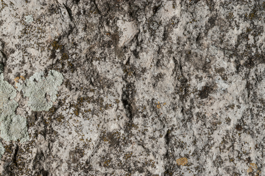 Hintergründe & Struckturen